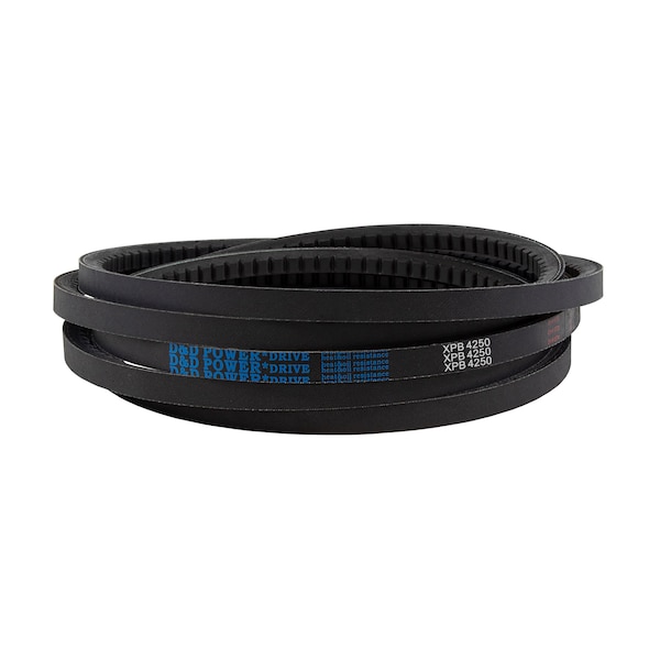 D&D XPB4250 Cogged, Metric V-Belt, 4250mm Outside Length, 16 mm Top Width, 13 mm Thickness, 1 Ribs XPB4250 - main